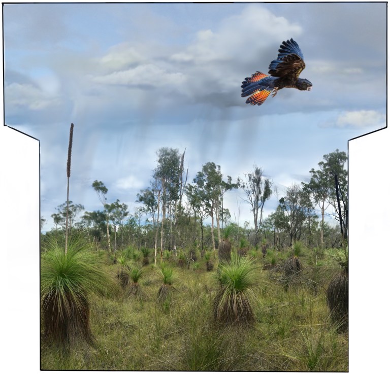 Flora and Fauna FULL